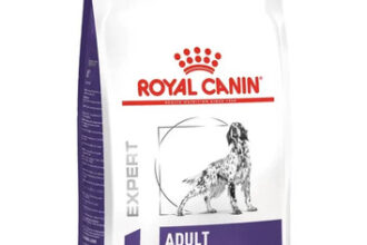 Royal Canin Adult Medium Dogs Hund
