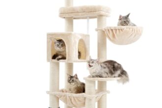 XXL Grosse Kratzbaum für Maine Katze,