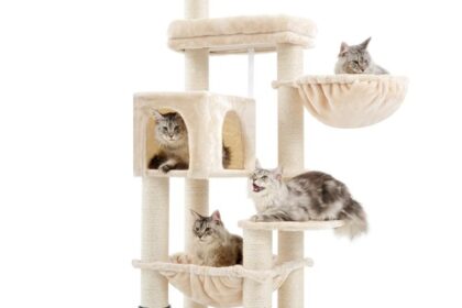 XXL Grosse Kratzbaum für Maine Katze,