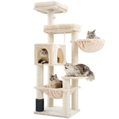 XXL Grosse Kratzbaum für Maine Katze,