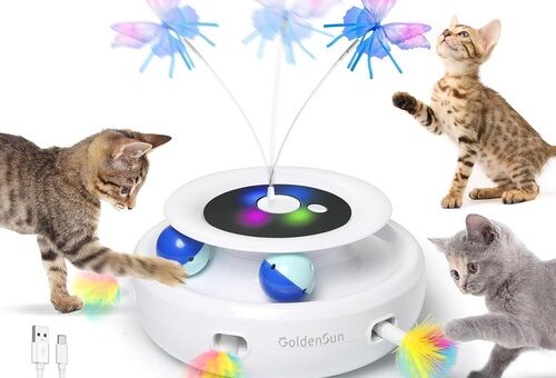 Katzenspielzeug 3 in 1 Elektrisch Interaktiv