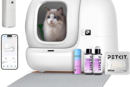 Katzen