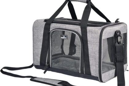 Transportbox Katze Hund Haustier Autoschale faltbar