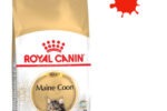 10 kg - Royal Canin Maine