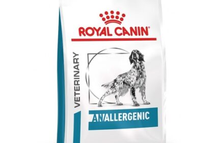 Royal Canin Anallergenic Hundefutter für ausgewachsene