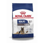 Royal Canin Hundetrockenfutter Senior 8+ Maxi