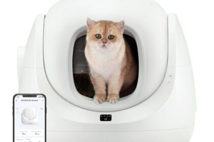 Katzentoilette Intelligente Selbstreinigend App-Steuerung 65L Katzenkl