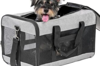 Hundetransportbox Katze Reise Tasche groß faltbar