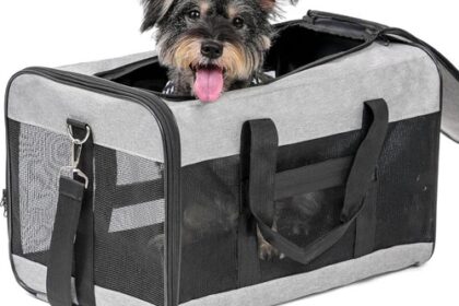 Hundetransportbox Katze Reise Tasche groß faltbar