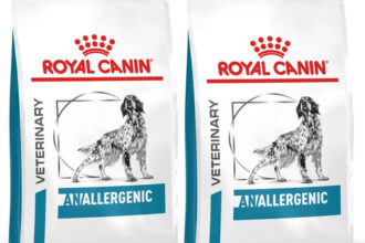 Royal Canin Anallergenic Hundefutter für ausgewachsene