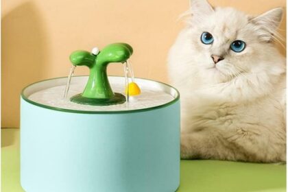 Haustier Trinkbrunnen Keramik Wasserspender Katze Hund