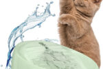 Lucky-Kitty Trinkbrunnen Für Katze Grün I