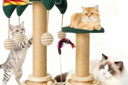 6-In-1 Katzenspielzeug Selbstbeschäftigung Holz, Kratzspielzeug Für
