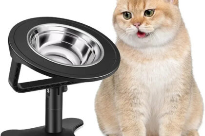 Erhöhter Katzenfutternapf verstellbar Edelstahl rutschfest gekippt