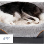 Hundebett Memory Foam Orthopädisch mit Waschbarem