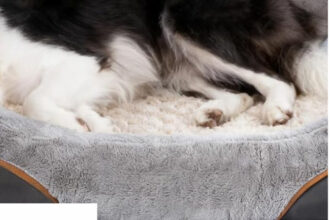 Hundebett Memory Foam Orthopädisch mit Waschbarem