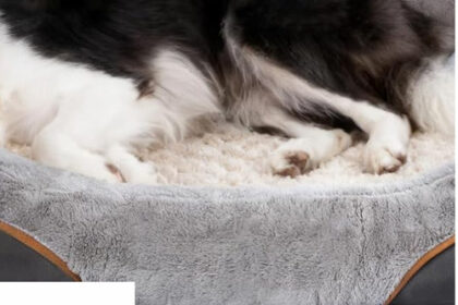 Hundebett Memory Foam Orthopädisch mit Waschbarem