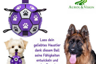 Hundeball Hundespielzeug mit Griff Interaktiver Trainingsball