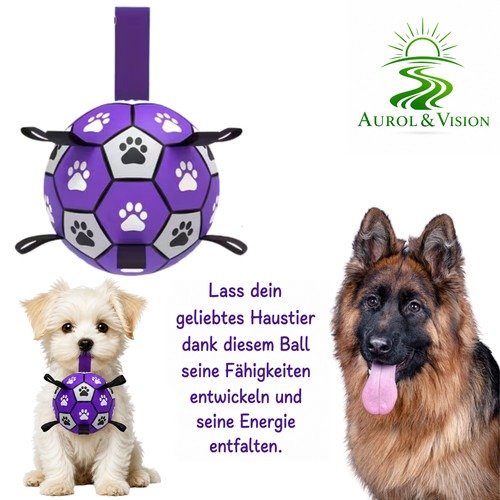 Hundeball Hundespielzeug mit Griff Interaktiver Trainingsball