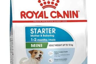 Royal Canin Mini Starter Mother Babydog