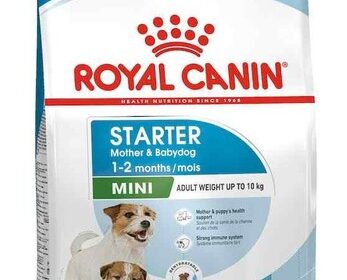 Royal Canin Mini Starter Mother Babydog