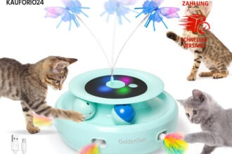 Katzenspielzeug 3 in 1 Interaktiv Elektrisch