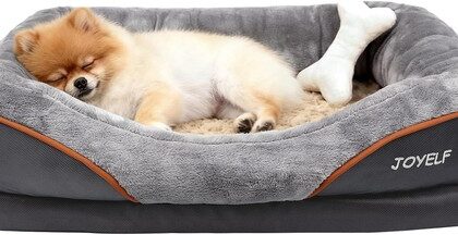 Hundebett Orthopädisch Memory Foam Klein Abnehmbarer