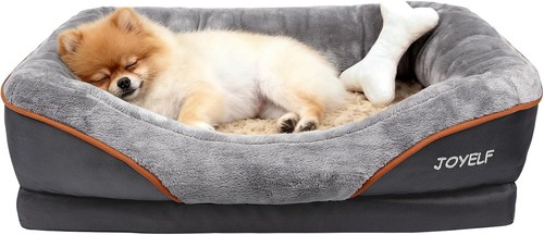 Hundebett Orthopädisch Memory Foam Klein Abnehmbarer