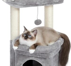 Kleiner Katzenbaum mit Sisal-Kratzbaum, grauer Katzenturm,