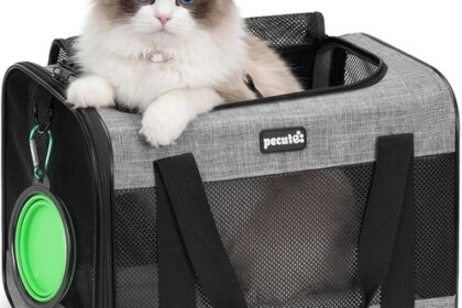 Hundetasche Faltbar Transportbox Katze Hund 42x28x29