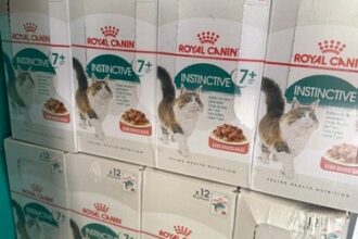 Royal Canin instinktiv 7+ Naßfutter für