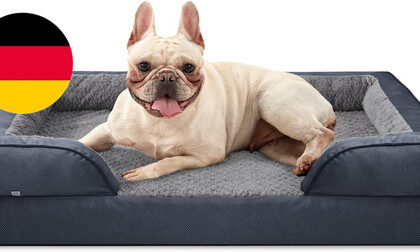 JOEJOY Orthopädisches Hundebett Kleine Hunde,71X58X17Cm, Memory