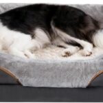 Hundebett Orthopädisch Memory Foam Abnehmbar Waschbar