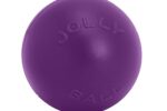 PushnPlay Ball Hundespielzeug, 35,6 cm/XL, Violett,
