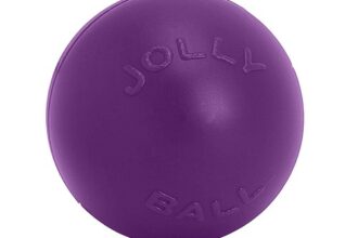 PushnPlay Ball Hundespielzeug, 35,6 cm/XL, Violett,