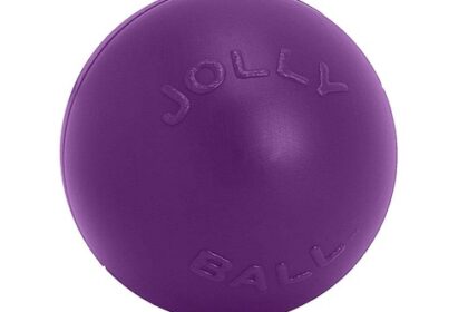 PushnPlay Ball Hundespielzeug, 35,6 cm/XL, Violett,