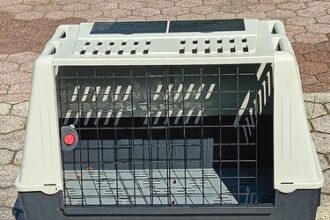 Transportbox hund für Auto SUV 100x60x65