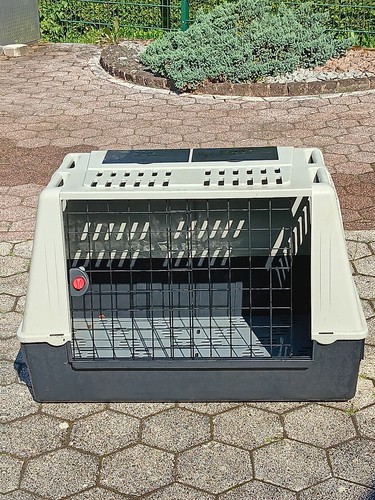 Transportbox hund für Auto SUV 100x60x65