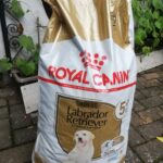royal canin Labrador Adult 5+ Trockenfutter