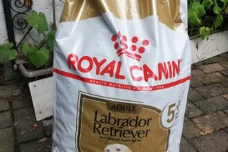 royal canin Labrador Adult 5+ Trockenfutter