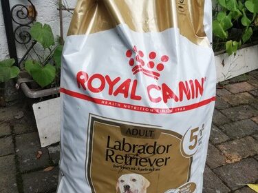 royal canin Labrador Adult 5+ Trockenfutter