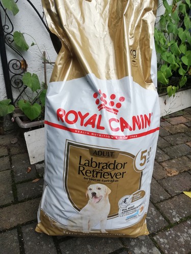 royal canin Labrador Adult 5+ Trockenfutter