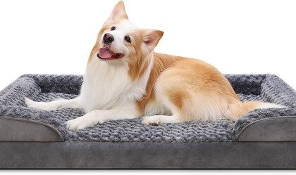 Hundebett Orthopädisch XL Grau Abnehmbar Waschbar