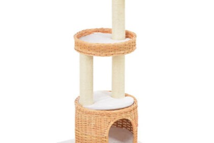 Katzen-Kratzbaum Sisal Natürliches Weidenholz
