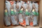 Restposten Hundespielzeug Ente mit Seil 25