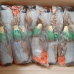 Restposten Hundespielzeug Ente mit Seil 25