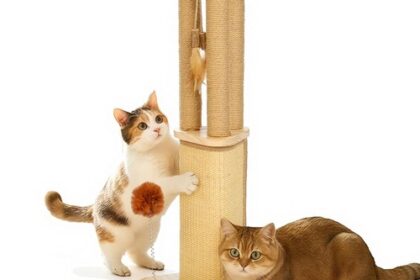 Kratzbaum Katze 67cm Sisal Natur Pfosten