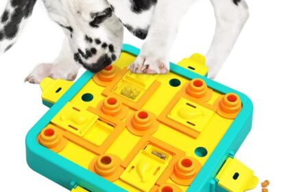 Hundespielzeug Intelligenz Level 3 Interaktiv Puzzle