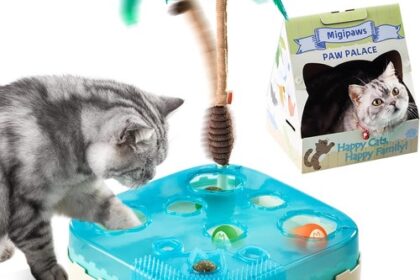 Katzenspielzeug 7-in-1 Interaktiv Bewegungssensor LED Nachtmodus