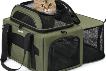 Transportbox Katze Faltbar Erweiterbar Grün Stabil